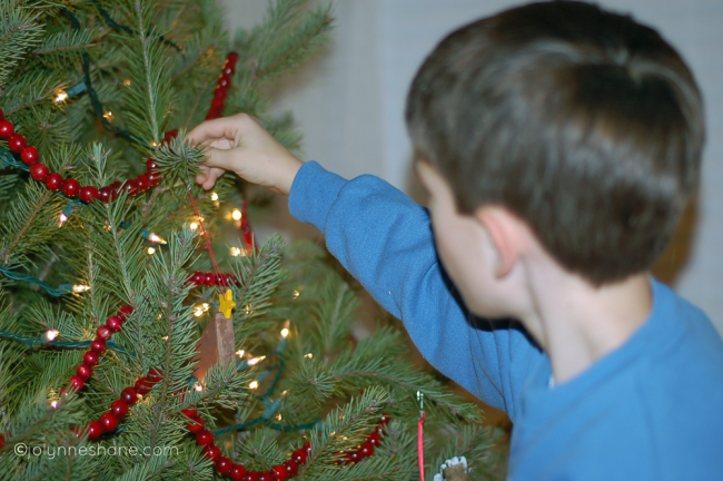 david-decorating-the-tree