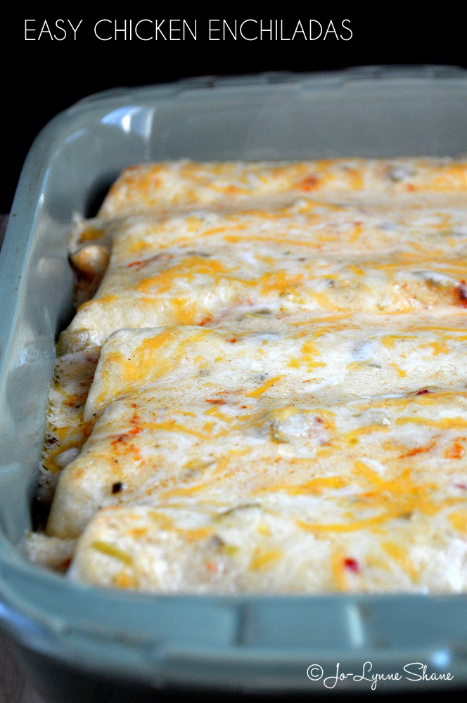 Easy Chicken Enchiladas: Cooked chicken meat, heavy whipping cream, salsa, flour tortillas, and colby jack cheese.  I mean seriously.  How easy is that?