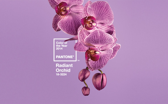 Pantone 2014 Color of the Year: Radiant Orchid #pointsforpassions #fashionfriday
