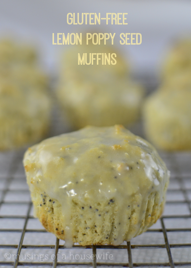 gluten-free lemon poppyseed muffin