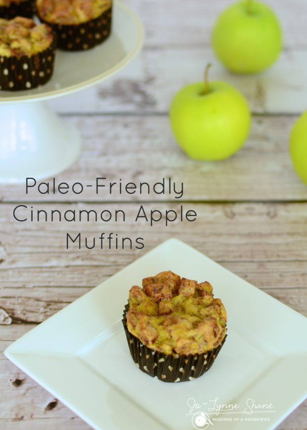 PALEO Cinnamon Apple Muffins