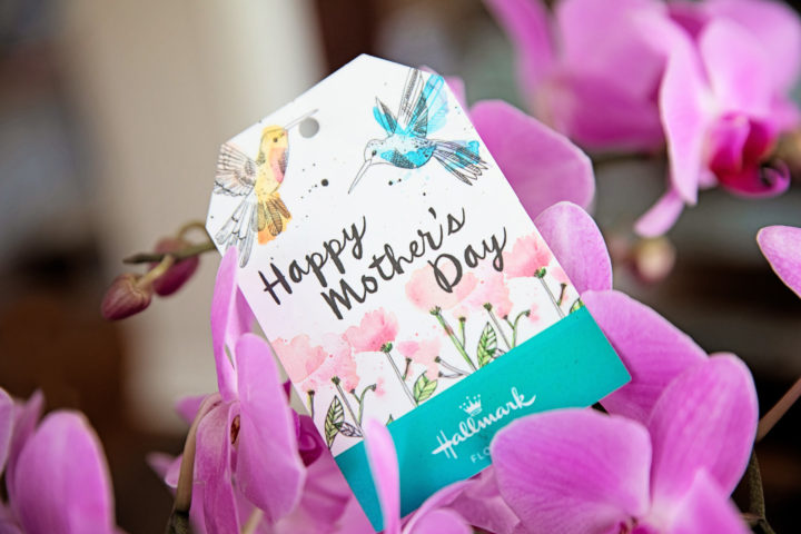 mother's day 2019 gifts amazon